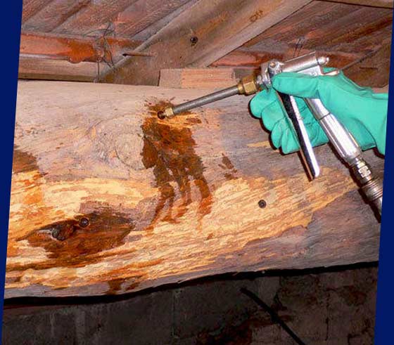 Carpentry - PROCHIRA ROOF FACADE: Artisan carpenter roofer: Carpentry, wood treatment and roof insulation: Traditional framing, trusses... from solid to glued laminated. Woodwork treatment. Roof and attic insulation... intervention in BELGIUM: Flemish, Walloon and Brussels regions....