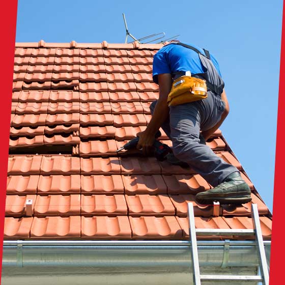 PROCHIRA ROOF FACADE: Roofing work, zinc work, roof maintenance: cleaning, moss removal and waterproofing roof painting, waterproofing flat roof terrace roofing, carpentry work, facade painting renovation, facade waterproofing and exterior cleaning throughout Belgium: Flemish, Walloon and Brussels regions….