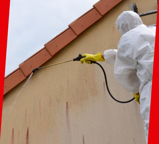 Facade painting and renovation - PROCHIRA ROOF FACADE: painter in Belgium: cleaning, moss removal, anti-moss treatment, facade painting and waterproofing. Intervention in BELGIUM: Flemish, Walloon and Brussels regions….