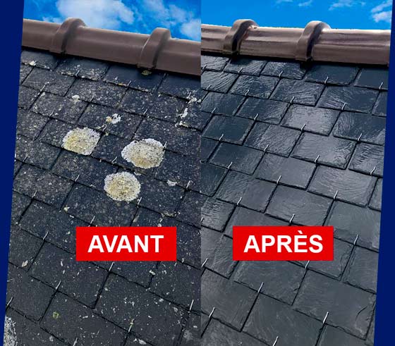 Roof Cleaning - PROCHIRA ROOF FACADE, a professional roofer and roofer in Belgium: roof cleaning, moss removal, and anti-moss treatment. Application of a colored water-repellent roof paint coating, intervention in BELGIUM: Flanders, Wallonia, and Brussels.